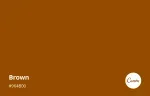 Brown Bag Films company icon