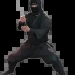 Ninja Van company icon
